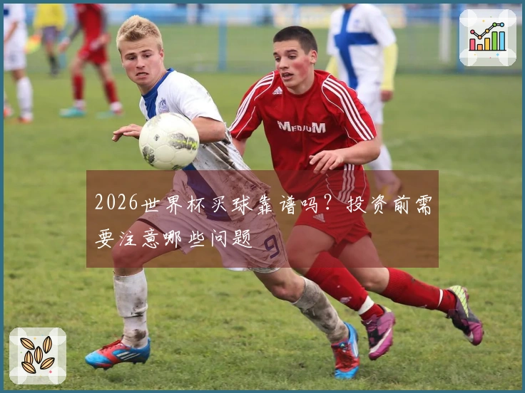 2026世界杯买球靠谱吗？投资前需要注意哪些问题