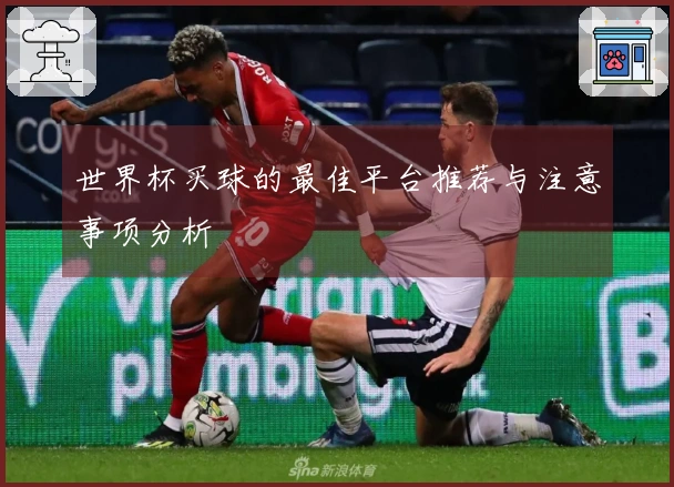 世界杯买球的最佳平台推荐与注意事项分析