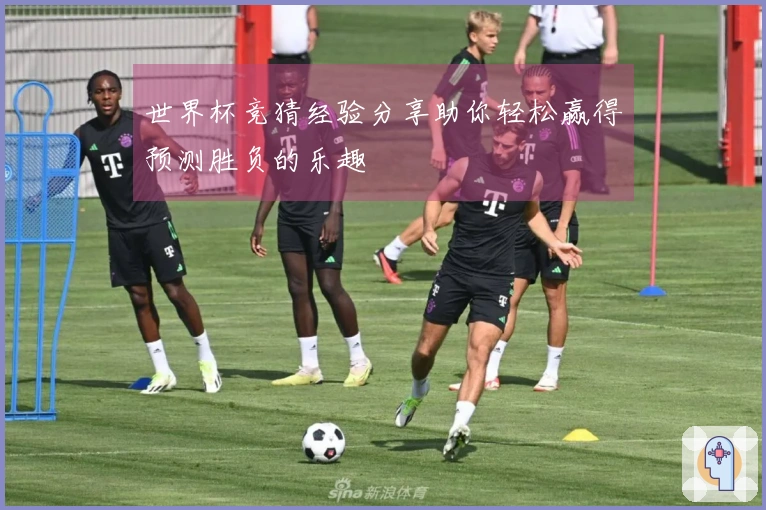 世界杯竞猜经验分享助你轻松赢得预测胜负的乐趣