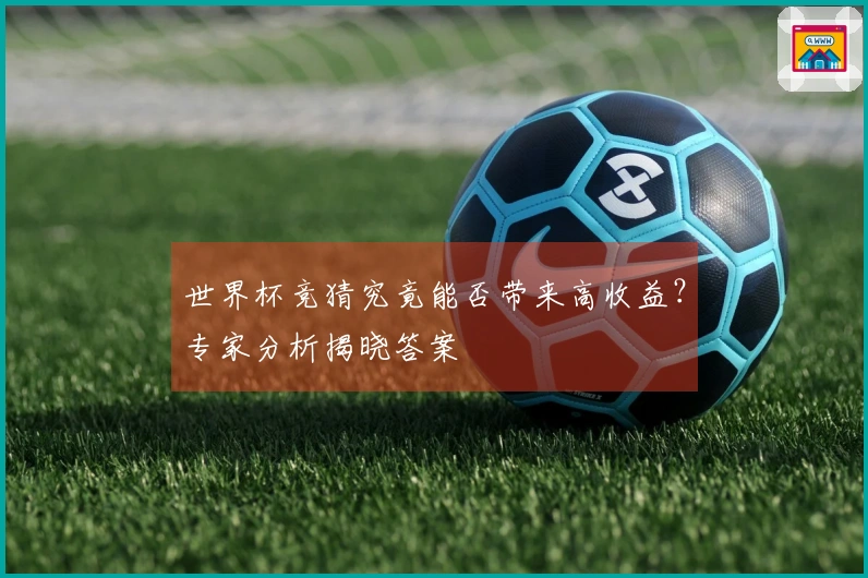 世界杯竞猜究竟能否带来高收益？专家分析揭晓答案