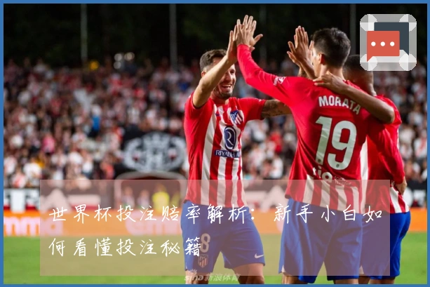 世界杯投注赔率解析：新手小白如何看懂投注秘籍