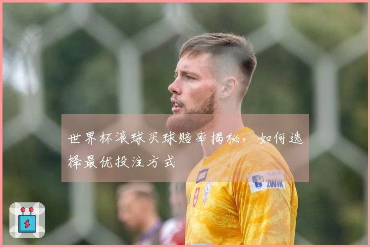世界杯滚球买球赔率揭秘，如何选择最优投注方式