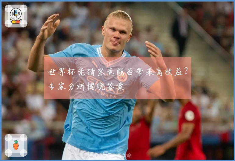 世界杯竞猜究竟能否带来高收益？专家分析揭晓答案