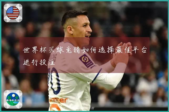 世界杯买球竞猜如何选择最佳平台进行投注