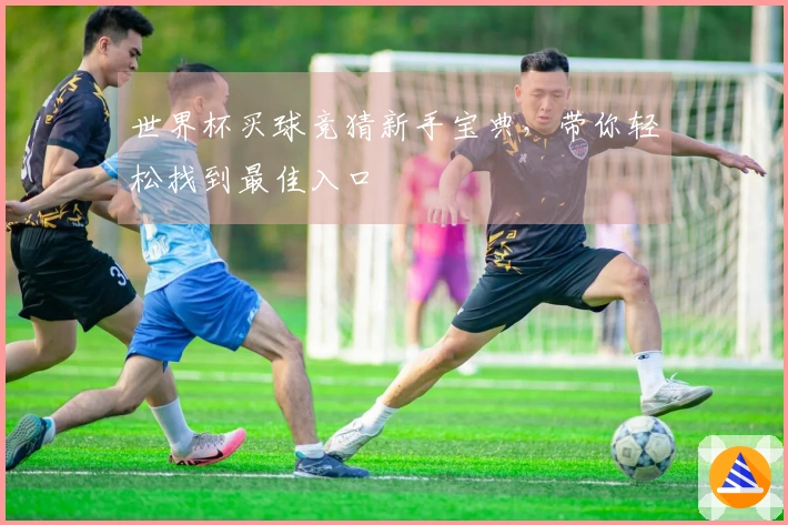 世界杯买球竞猜新手宝典，带你轻松找到最佳入口