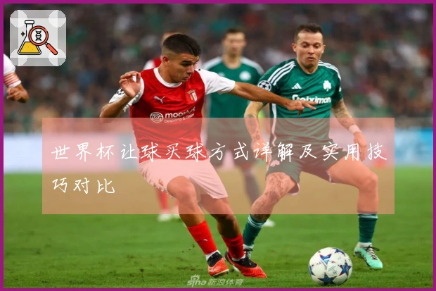 世界杯让球买球方式详解及实用技巧对比