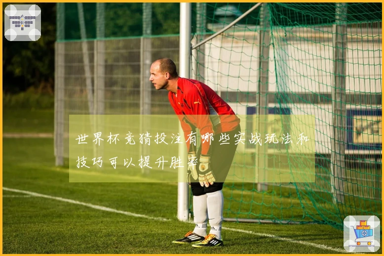 世界杯竞猜投注有哪些实战玩法和技巧可以提升胜率
