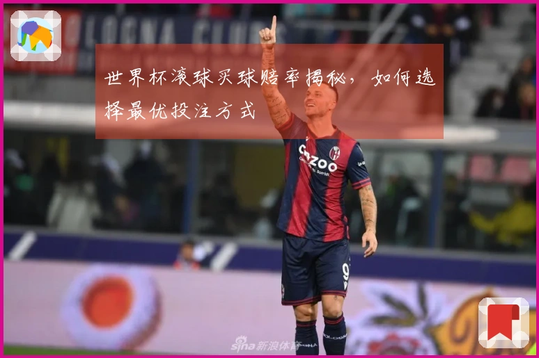 世界杯滚球买球赔率揭秘，如何选择最优投注方式