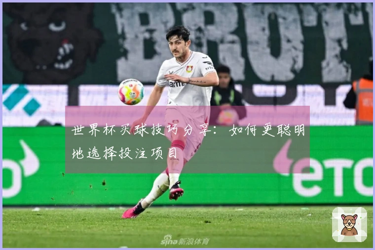 世界杯买球技巧分享：如何更聪明地选择投注项目
