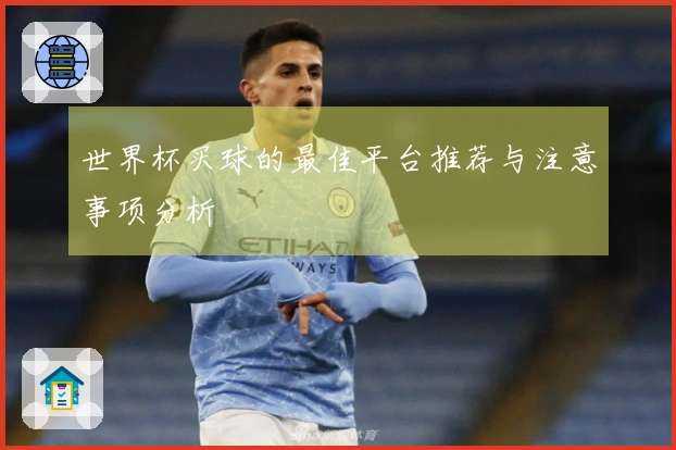 世界杯买球的最佳平台推荐与注意事项分析