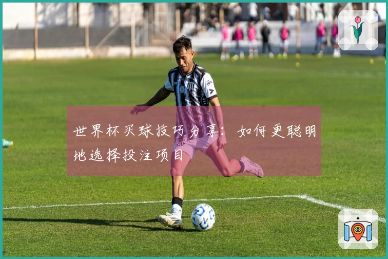 世界杯买球技巧分享：如何更聪明地选择投注项目