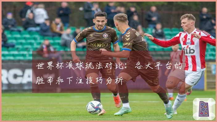 世界杯滚球玩法对比：各大平台的胜率和下注技巧分析